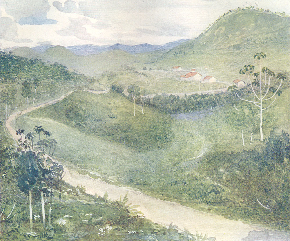 BRAZIL. Barao de Aquino 1908 old antique vintage print picture